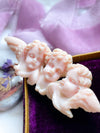 14k Victorian Rare Angel Skin Coral Putti Cherub Brooch