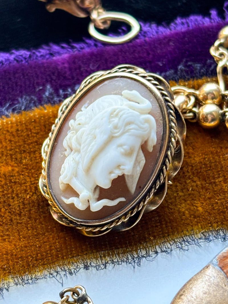 10k Edwardian Medusa Shell Cameo