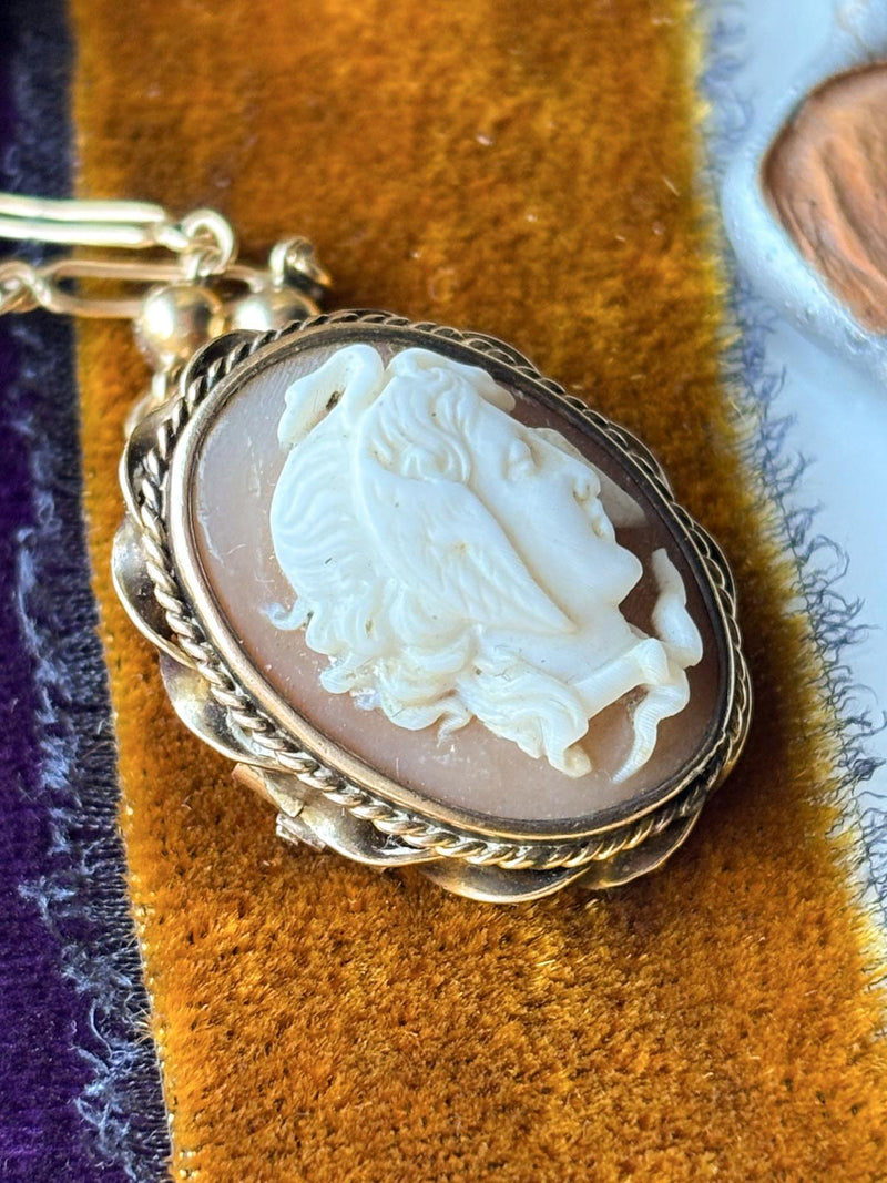 10k Edwardian Medusa Shell Cameo