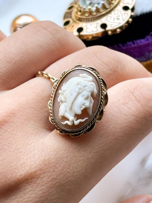 10k Edwardian Medusa Shell Cameo