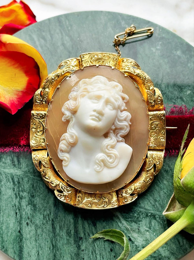 18k Victorian Shell Cameo Brooch