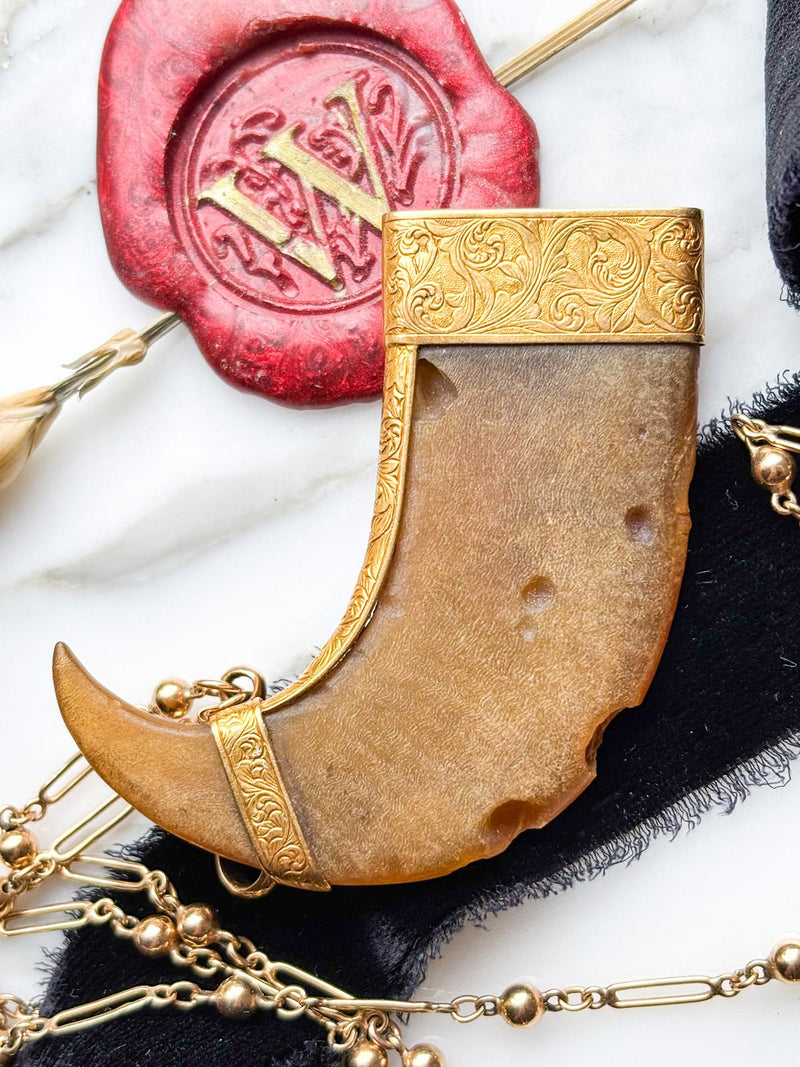 20k Victorian Tiger's claw Brooch