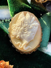 14k Edwardian Medusa Shell Cameo Pin